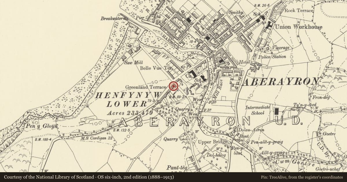 Ordnance Survey six-inch map, 2nd edition (1888–1913) covering the location of 2 Greenland Terrace, Aberaeron, Ceredigion, with a pin at the register's coordinates