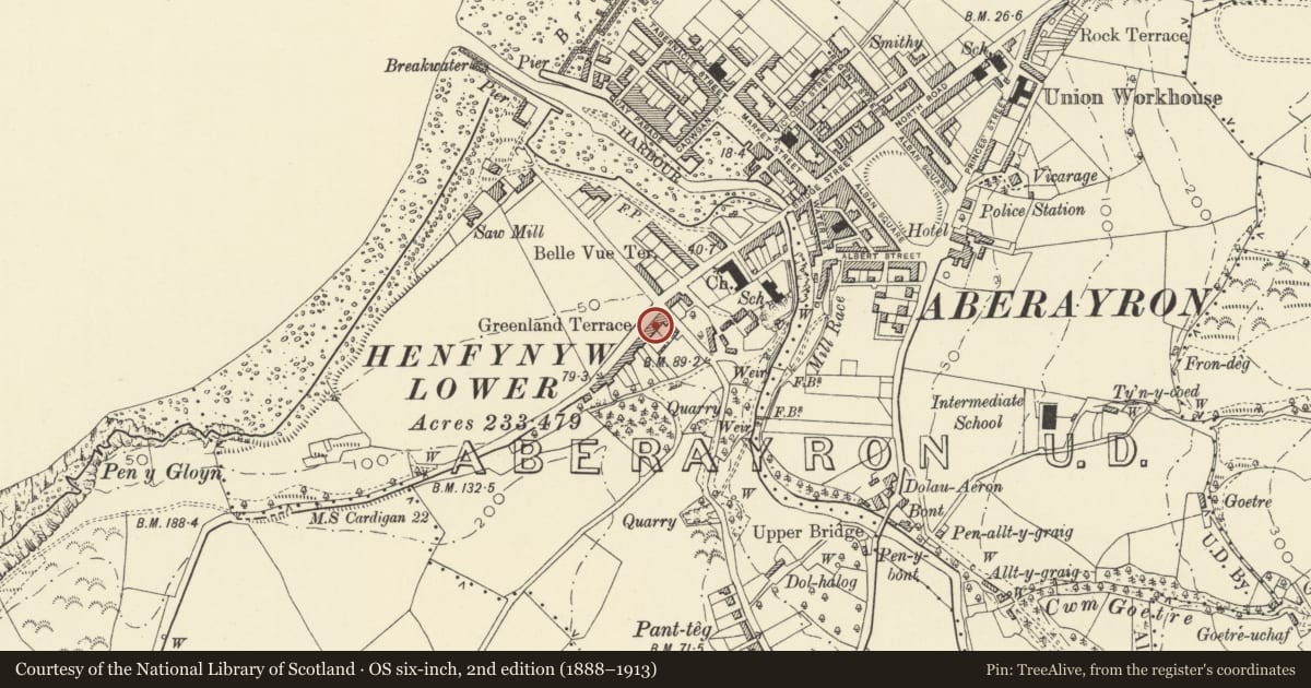 Ordnance Survey six-inch map, 2nd edition (1888–1913) covering the location of Delfryn, Aberaeron, Ceredigion, with a pin at the register's coordinates
