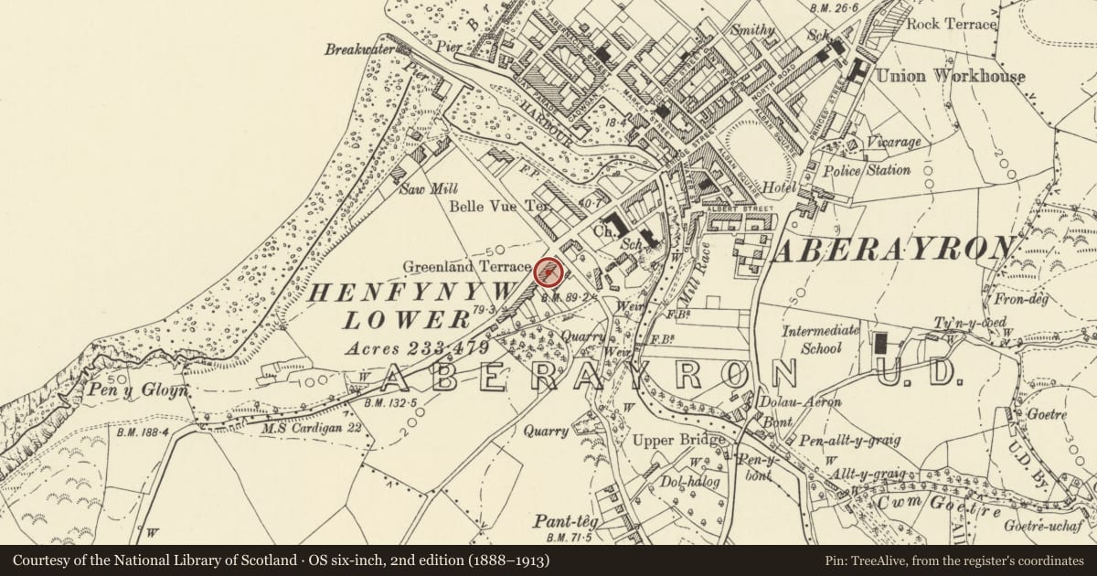 Ordnance Survey six-inch map, 2nd edition (1888–1913) covering the location of Penlan, Aberaeron, Ceredigion, with a pin at the register's coordinates