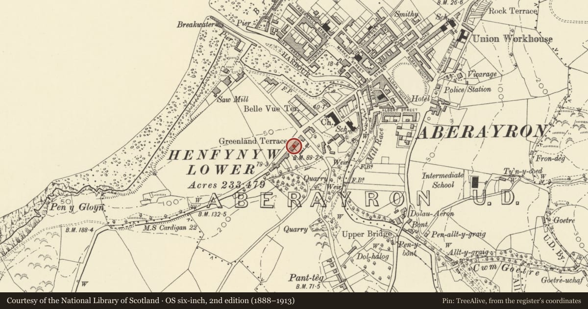 Ordnance Survey six-inch map, 2nd edition (1888–1913) covering the location of Ty-Rhos, Aberaeron, Ceredigion, with a pin at the register's coordinates