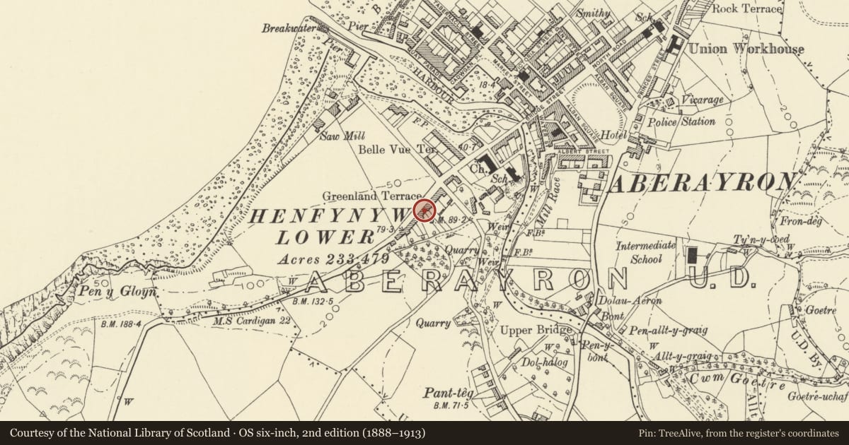 Ordnance Survey six-inch map, 2nd edition (1888–1913) covering the location of 7 Greenland Terrace, Aberaeron, Ceredigion, with a pin at the register's coordinates