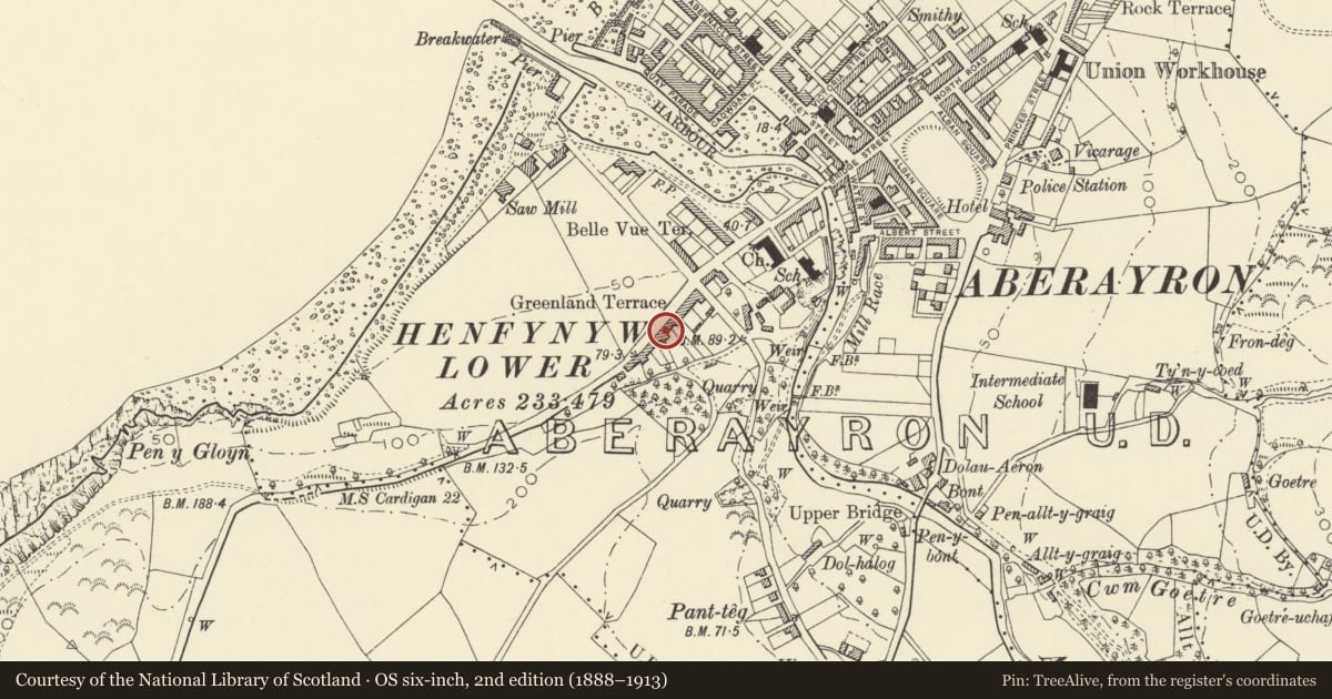 Ordnance Survey six-inch map, 2nd edition (1888–1913) covering the location of 8 Greenland Terrace, Aberaeron, Ceredigion, with a pin at the register's coordinates