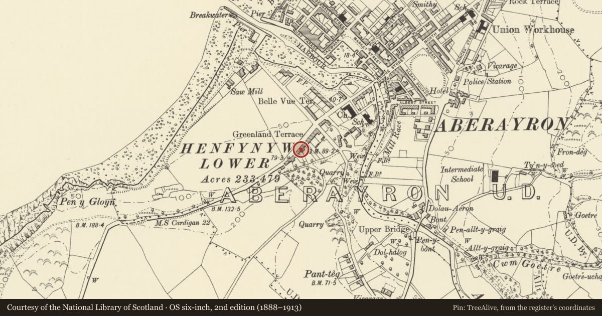 Ordnance Survey six-inch map, 2nd edition (1888–1913) covering the location of Gwel-y-Don, Aberaeron, Ceredigion, with a pin at the register's coordinates