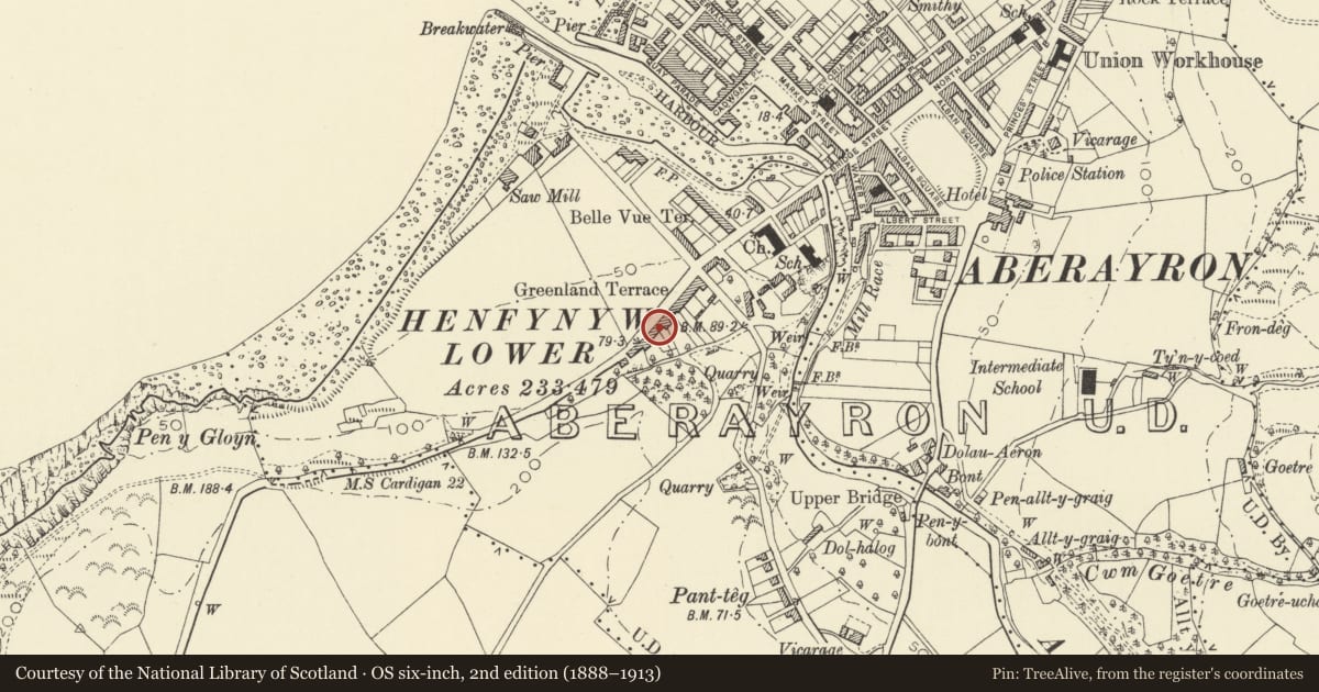 Ordnance Survey six-inch map, 2nd edition (1888–1913) covering the location of 10 Greenland Terrace, Aberaeron, Ceredigion, with a pin at the register's coordinates