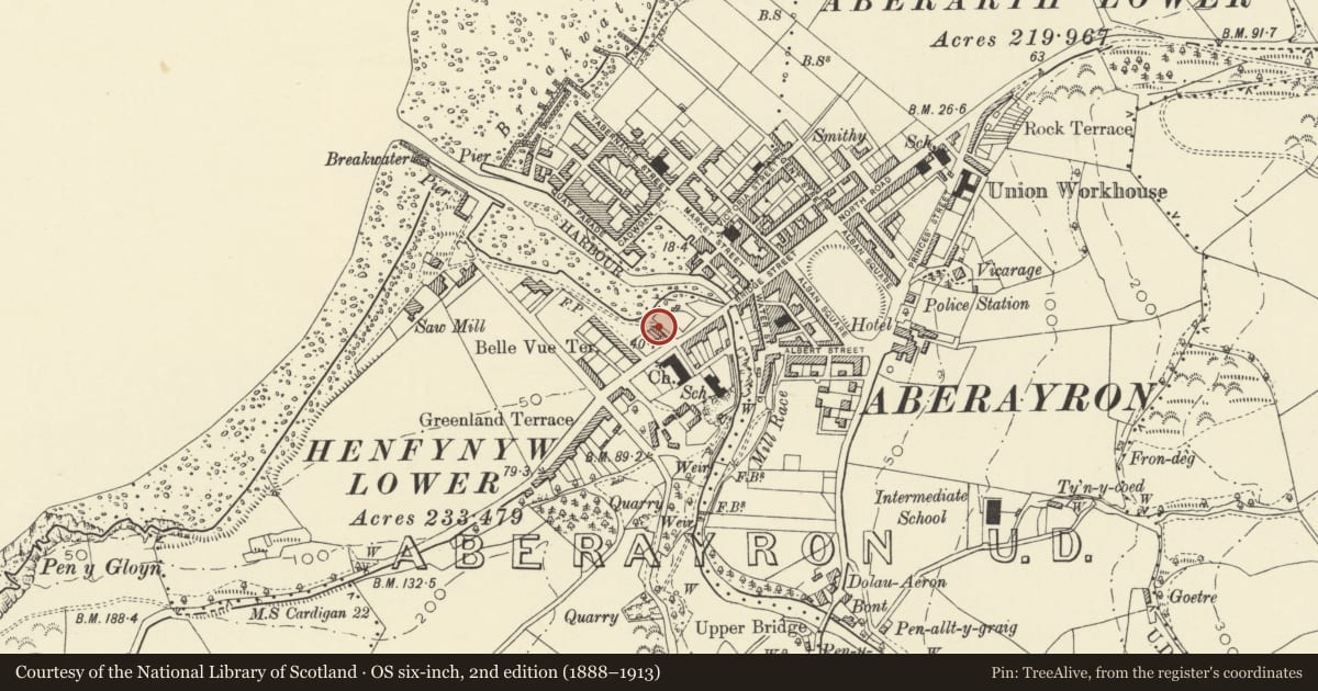 Ordnance Survey six-inch map, 2nd edition (1888–1913) covering the location of 3 Harbour Lane, Aberaeron, Ceredigion, with a pin at the register's coordinates