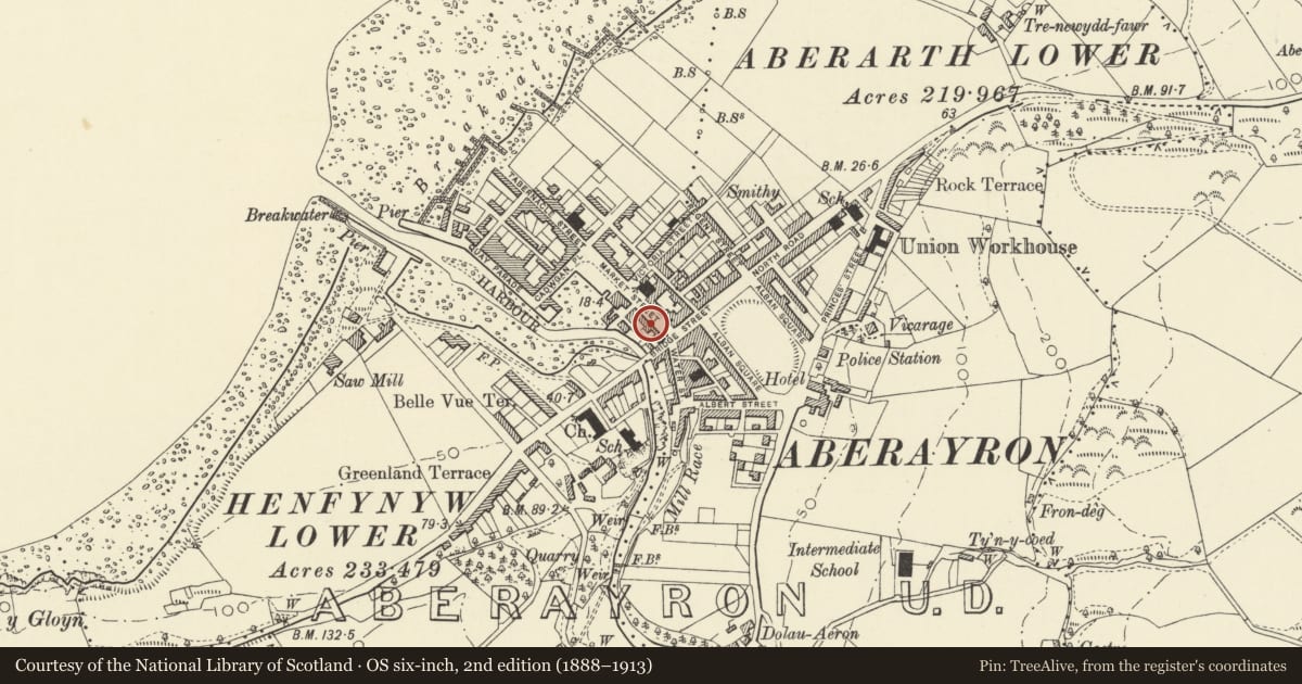 Ordnance Survey six-inch map, 2nd edition (1888–1913) covering the location of 3 Market Street, Aberaeron, Ceredigion, with a pin at the register's coordinates