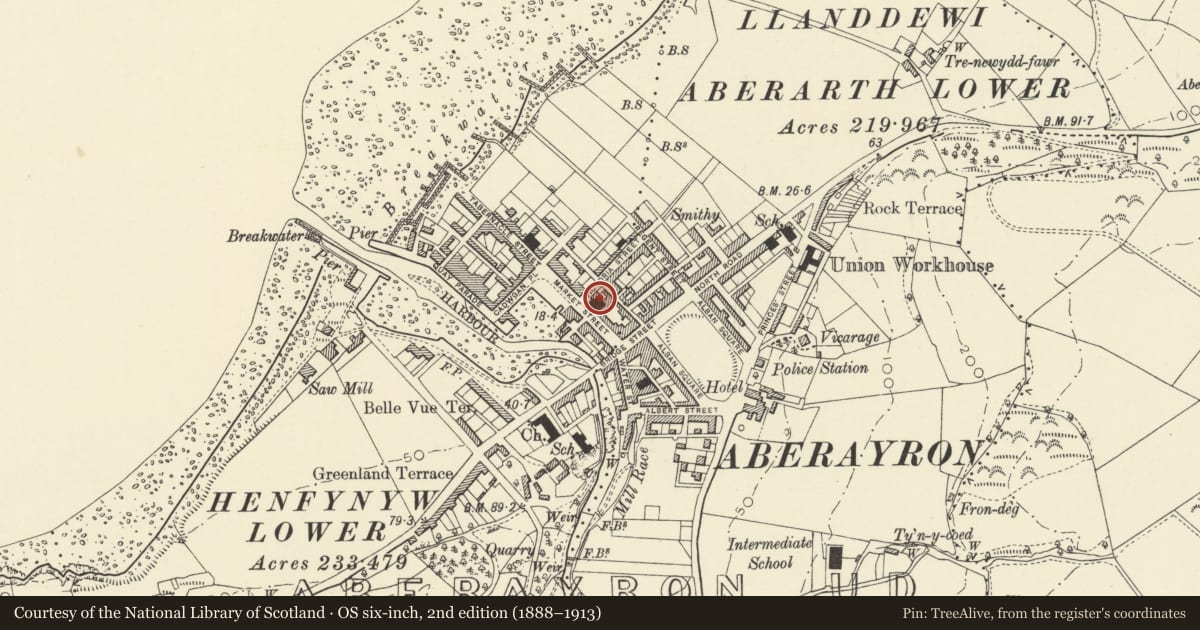 Ordnance Survey six-inch map, 2nd edition (1888–1913) covering the location of Town Hall, Aberaeron, Ceredigion, with a pin at the register's coordinates