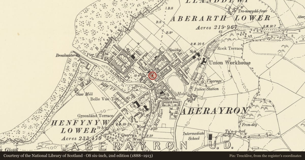 Ordnance Survey six-inch map, 2nd edition (1888–1913) covering the location of 19 Market Street, Aberaeron, Ceredigion, with a pin at the register's coordinates