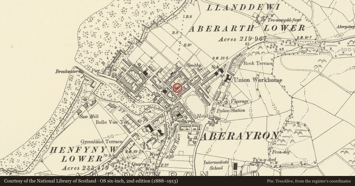 Ordnance Survey six-inch map, 2nd edition (1888–1913) covering the location of 8 Masons Row, Aberaeron, Ceredigion, with a pin at the register's coordinates