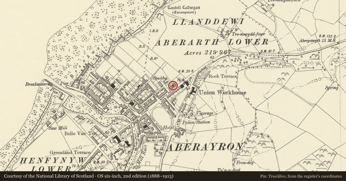 Ordnance Survey six-inch map, 2nd edition (1888–1913) covering the location of Newholme, Aberaeron, Ceredigion, with a pin at the register's coordinates
