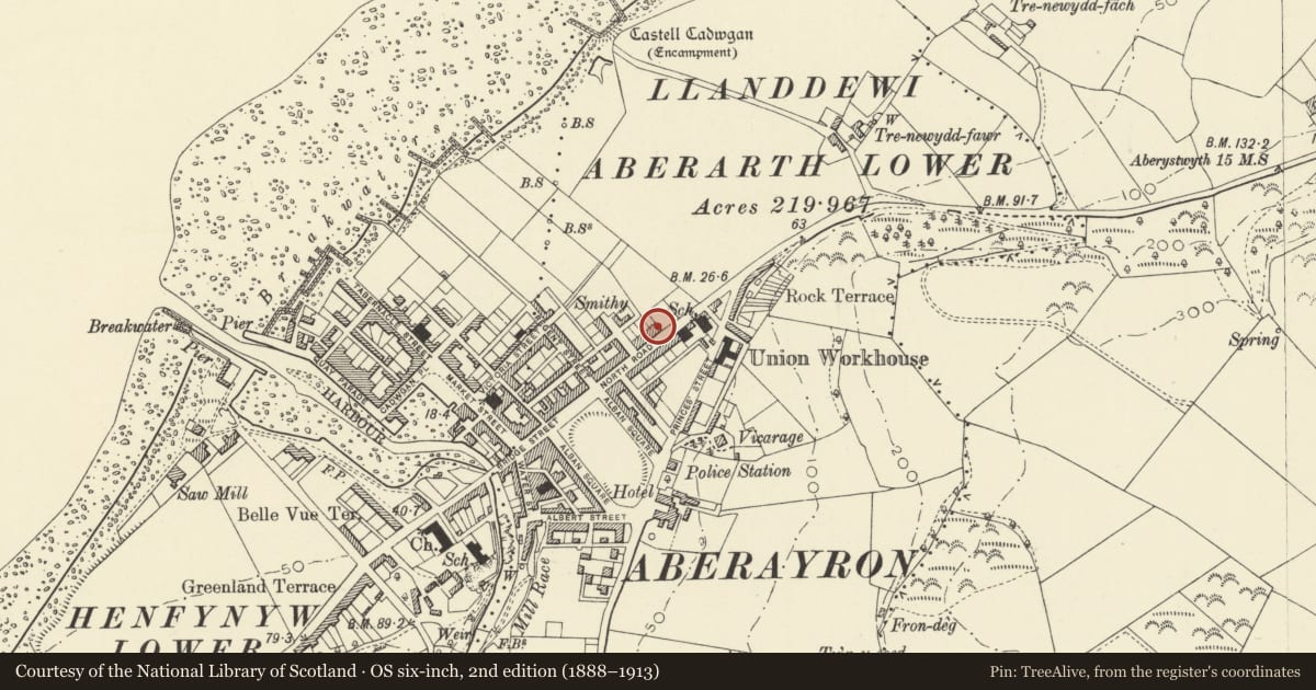 Ordnance Survey six-inch map, 2nd edition (1888–1913) covering the location of 10 North Road, Aberaeron, Ceredigion, with a pin at the register's coordinates