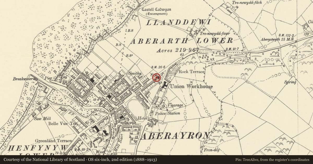 Ordnance Survey six-inch map, 2nd edition (1888–1913) covering the location of Yns House, Aberaeron, Ceredigion, with a pin at the register's coordinates