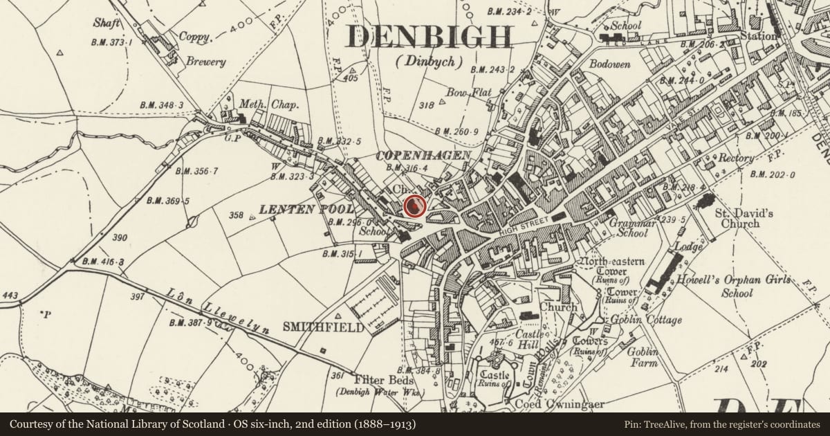 Ordnance Survey six-inch map, 2nd edition (1888–1913) covering the location of St Mary's Church, Denbigh, Denbighshire, with a pin at the register's coordinates