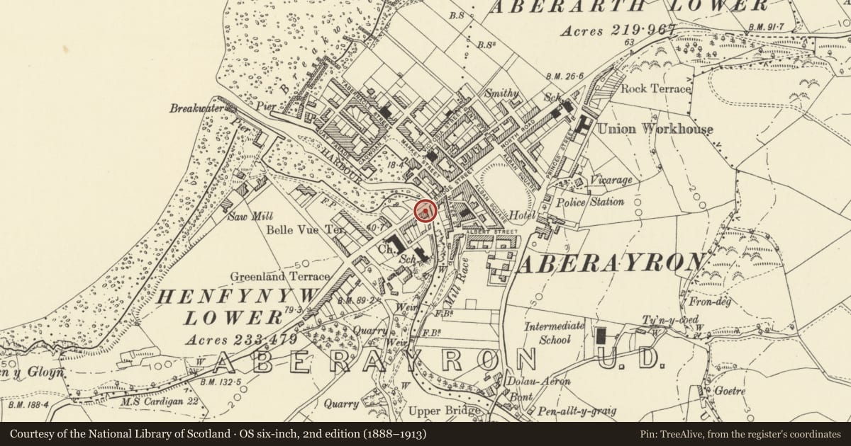 Ordnance Survey six-inch map, 2nd edition (1888–1913) covering the location of Portland House, Aberaeron, Ceredigion, with a pin at the register's coordinates
