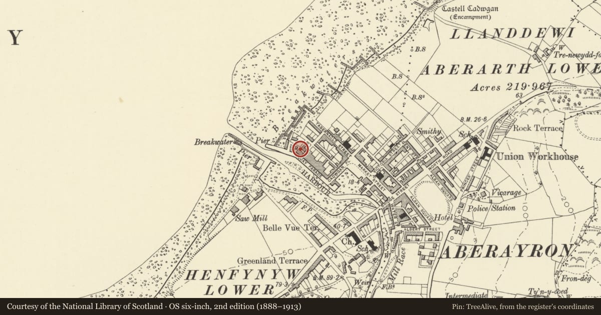 Ordnance Survey six-inch map, 2nd edition (1888–1913) covering the location of Harbourmaster Hotel (Formerly the Red Lion Hotel), Aberaeron, Ceredigion, with a pin at the register's coordinates