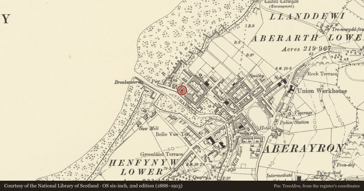 Ordnance Survey six-inch map, 2nd edition (1888–1913) covering the location of 3 Quay Parade, Aberaeron, Ceredigion, with a pin at the register's coordinates