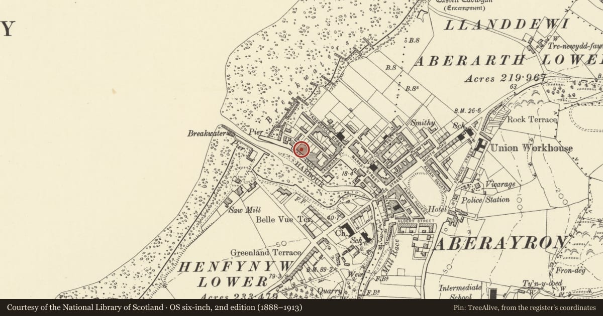 Ordnance Survey six-inch map, 2nd edition (1888–1913) covering the location of Gwel-y-Werydd, Aberaeron, Ceredigion, with a pin at the register's coordinates