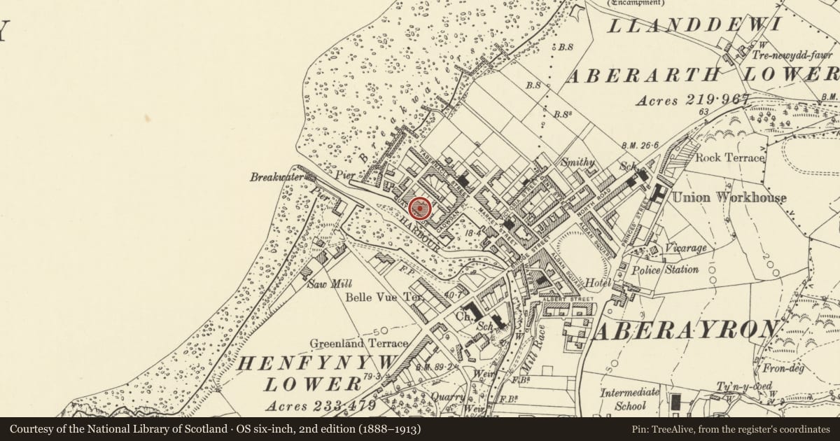 Ordnance Survey six-inch map, 2nd edition (1888–1913) covering the location of Arba, Aberaeron, Ceredigion, with a pin at the register's coordinates