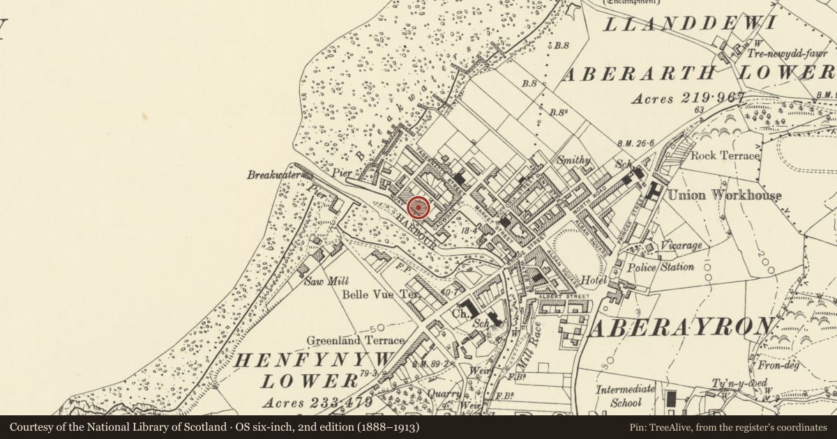 Ordnance Survey six-inch map, 2nd edition (1888–1913) covering the location of Trafalgar, Aberaeron, Ceredigion, with a pin at the register's coordinates