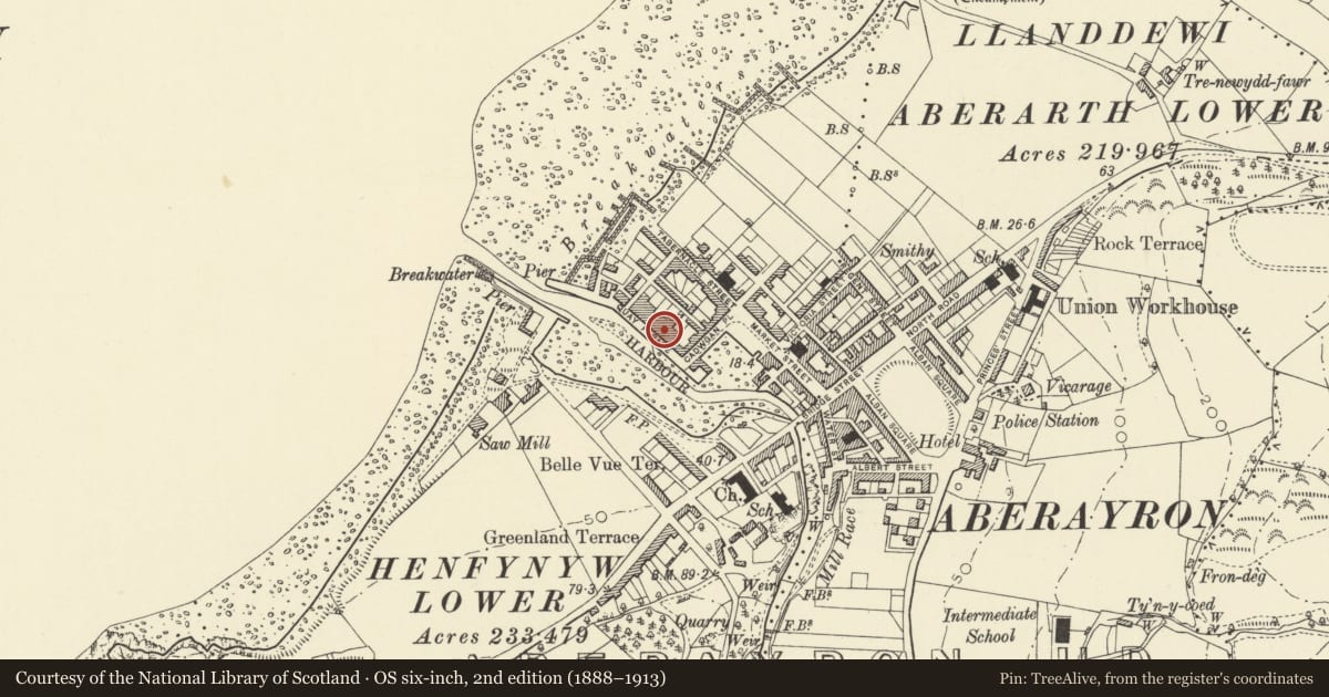 Ordnance Survey six-inch map, 2nd edition (1888–1913) covering the location of 7a Quay Parade, Aberaeron, Ceredigion, with a pin at the register's coordinates