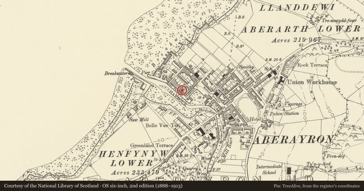 Ordnance Survey six-inch map, 2nd edition (1888–1913) covering the location of 9 Quay Parade, Aberaeron, Ceredigion, with a pin at the register's coordinates