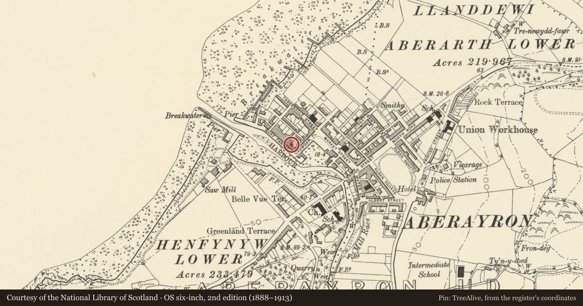 Ordnance Survey six-inch map, 2nd edition (1888–1913) covering the location of Haulfan, Aberaeron, Ceredigion, with a pin at the register's coordinates