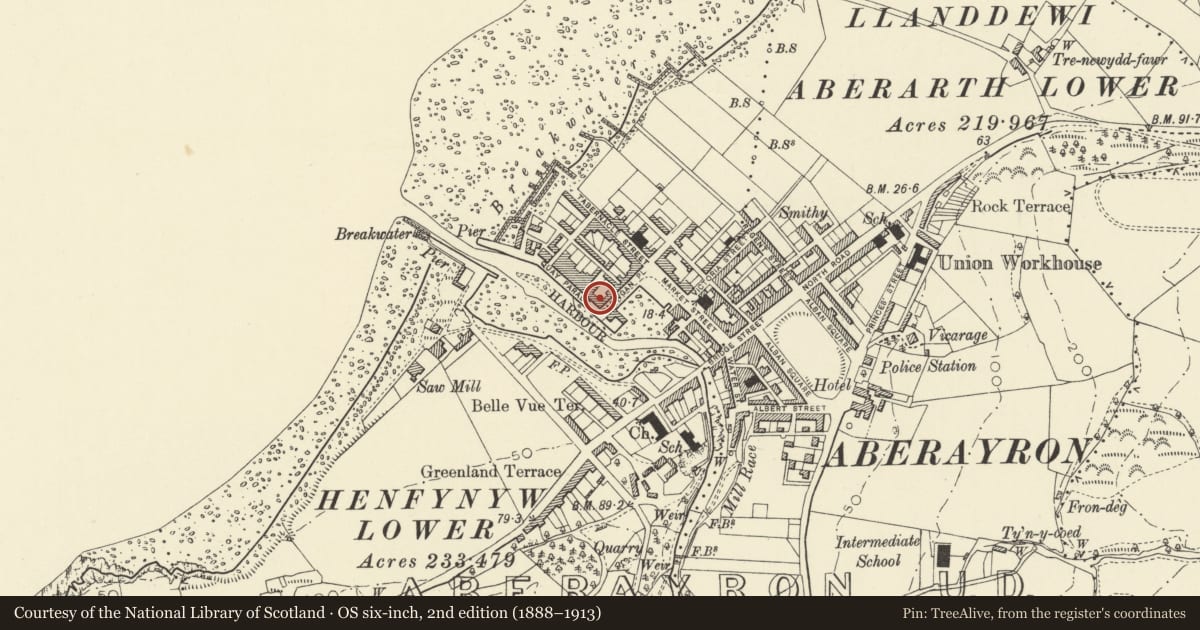 Ordnance Survey six-inch map, 2nd edition (1888–1913) covering the location of 11 Quay Parade, Aberaeron, Ceredigion, with a pin at the register's coordinates
