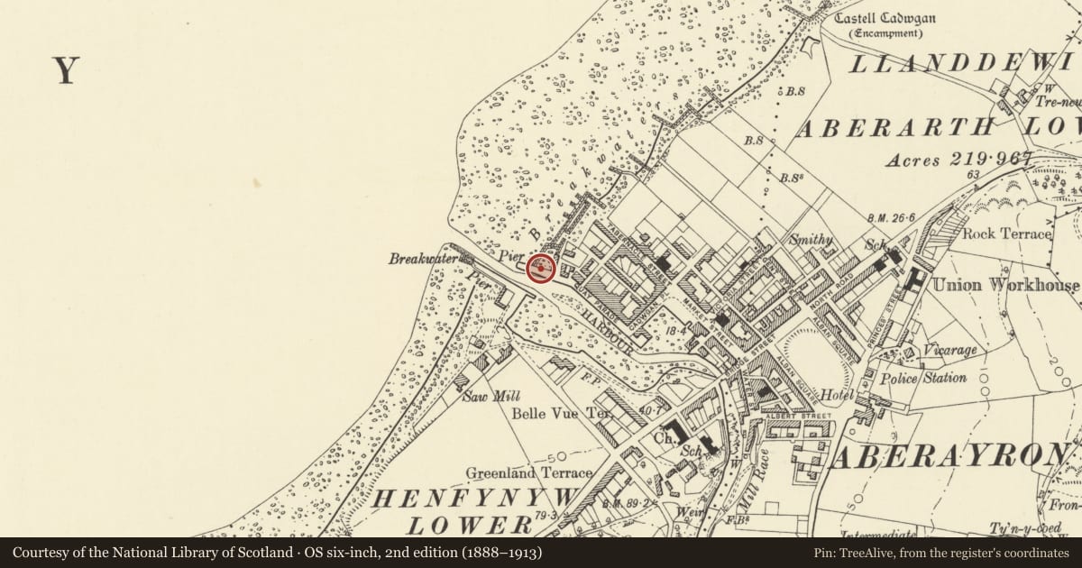 Ordnance Survey six-inch map, 2nd edition (1888–1913) covering the location of Northeast Pier, Aberaeron, Ceredigion, with a pin at the register's coordinates