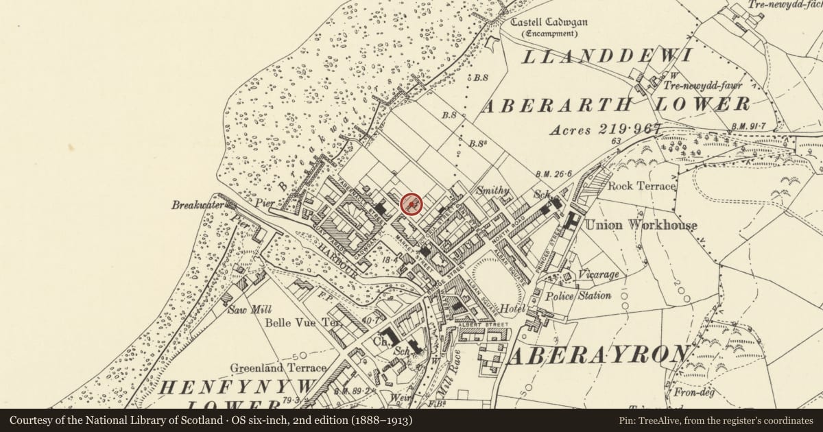 Ordnance Survey six-inch map, 2nd edition (1888–1913) covering the location of 2 Queen Street, Aberaeron, Ceredigion, with a pin at the register's coordinates