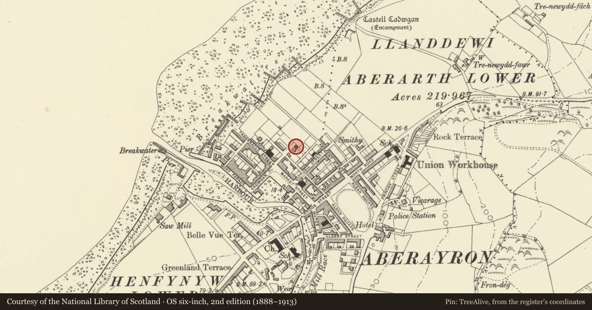Ordnance Survey six-inch map, 2nd edition (1888–1913) covering the location of 4 Queen Street, Aberaeron, Ceredigion, with a pin at the register's coordinates