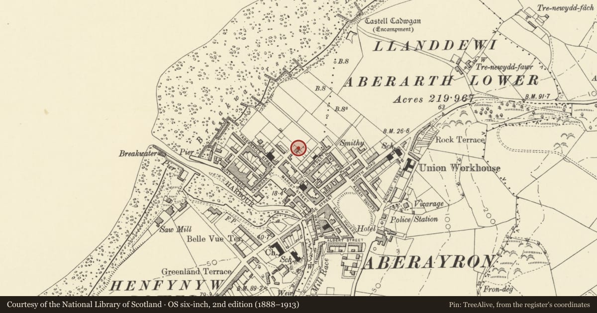 Ordnance Survey six-inch map, 2nd edition (1888–1913) covering the location of 5 Queen Street, Aberaeron, Ceredigion, with a pin at the register's coordinates