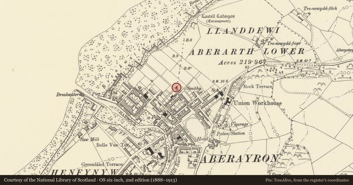 Ordnance Survey six-inch map, 2nd edition (1888–1913) covering the location of Glanydon, Aberaeron, Ceredigion, with a pin at the register's coordinates