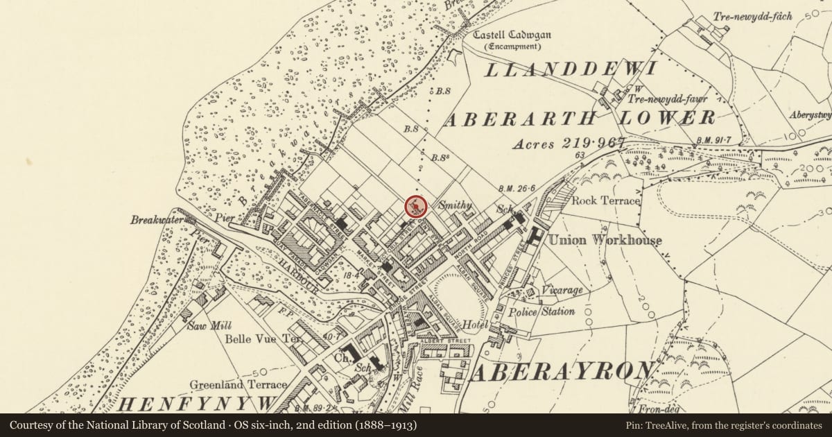 Ordnance Survey six-inch map, 2nd edition (1888–1913) covering the location of Eryl, Aberaeron, Ceredigion, with a pin at the register's coordinates