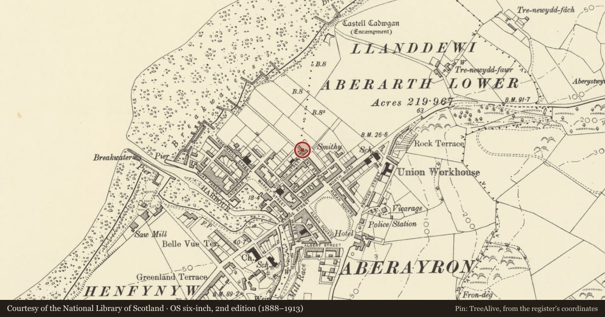Ordnance Survey six-inch map, 2nd edition (1888–1913) covering the location of Graig, Aberaeron, Ceredigion, with a pin at the register's coordinates