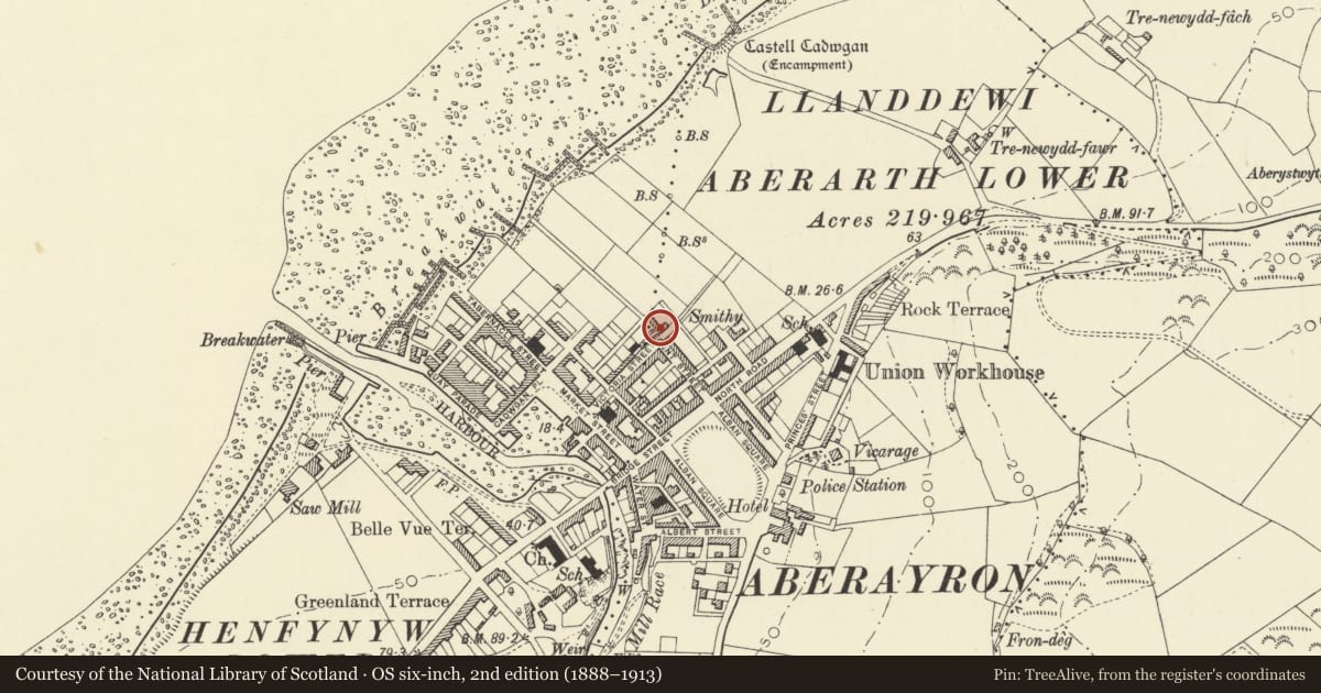 Ordnance Survey six-inch map, 2nd edition (1888–1913) covering the location of Ancorfa, Aberaeron, Ceredigion, with a pin at the register's coordinates