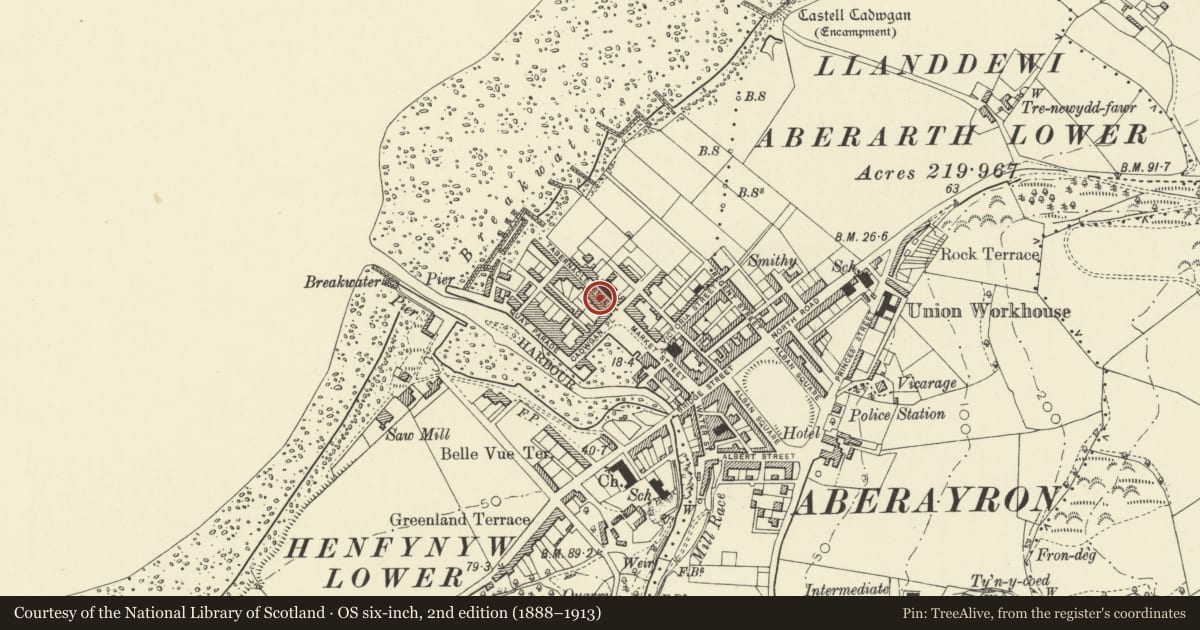 Ordnance Survey six-inch map, 2nd edition (1888–1913) covering the location of 3 Tabernacle Street, Aberaeron, Ceredigion, with a pin at the register's coordinates