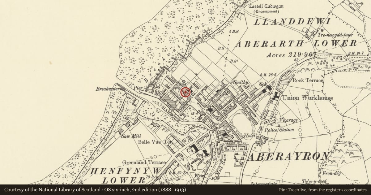 Ordnance Survey six-inch map, 2nd edition (1888–1913) covering the location of 4 Tabernacle Street, Aberaeron, Ceredigion, with a pin at the register's coordinates