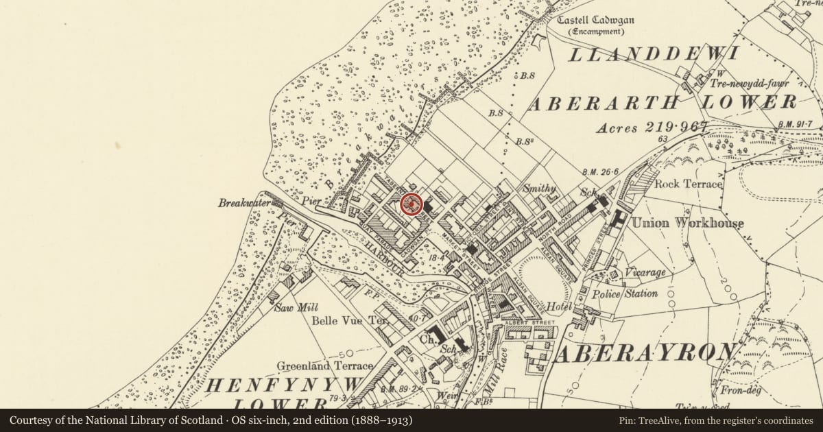 Ordnance Survey six-inch map, 2nd edition (1888–1913) covering the location of 6 Tabernacle Street, Aberaeron, Ceredigion, with a pin at the register's coordinates