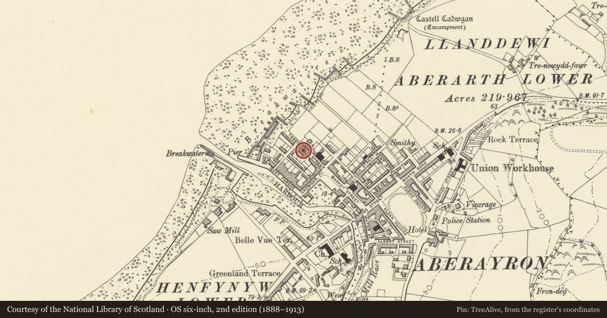 Ordnance Survey six-inch map, 2nd edition (1888–1913) covering the location of 8 Tabernacle Street, Aberaeron, Ceredigion, with a pin at the register's coordinates