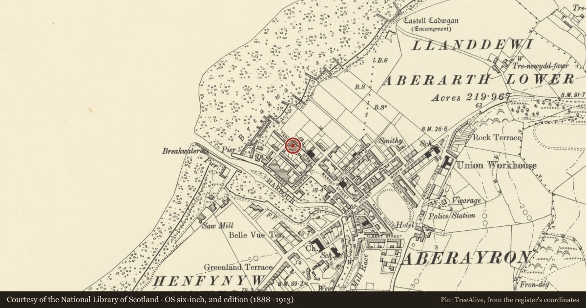 Ordnance Survey six-inch map, 2nd edition (1888–1913) covering the location of 9 Tabernacle Street, Aberaeron, Ceredigion, with a pin at the register's coordinates