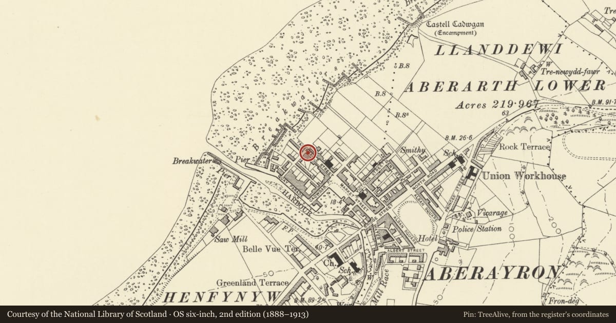Ordnance Survey six-inch map, 2nd edition (1888–1913) covering the location of 10 Tabernacle Street, Aberaeron, Ceredigion, with a pin at the register's coordinates