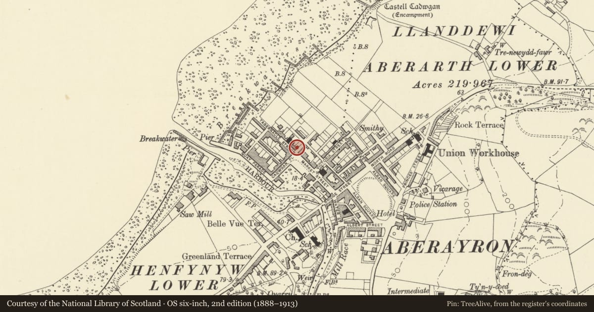 Ordnance Survey six-inch map, 2nd edition (1888–1913) covering the location of 23 Tabernacle Street, Aberaeron, Ceredigion, with a pin at the register's coordinates