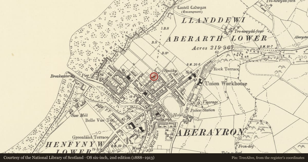 Ordnance Survey six-inch map, 2nd edition (1888–1913) covering the location of Aeronfa, Aberaeron, Ceredigion, with a pin at the register's coordinates