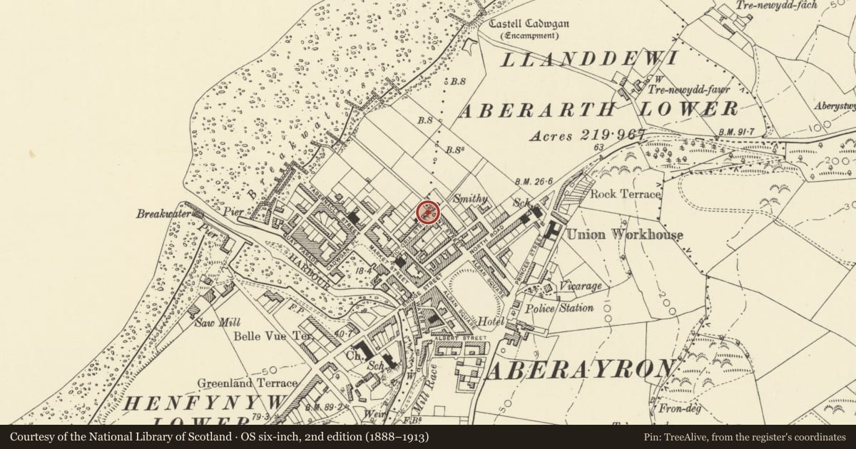 Ordnance Survey six-inch map, 2nd edition (1888–1913) covering the location of Llwynon, Aberaeron, Ceredigion, with a pin at the register's coordinates