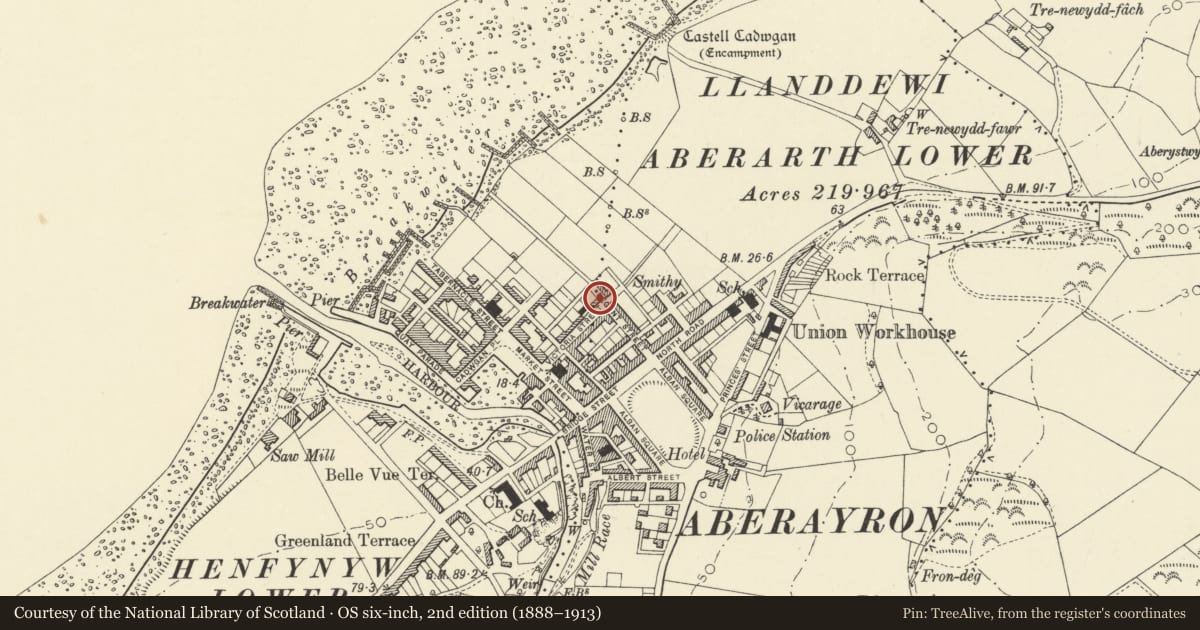 Ordnance Survey six-inch map, 2nd edition (1888–1913) covering the location of Belmont, Aberaeron, Ceredigion, with a pin at the register's coordinates