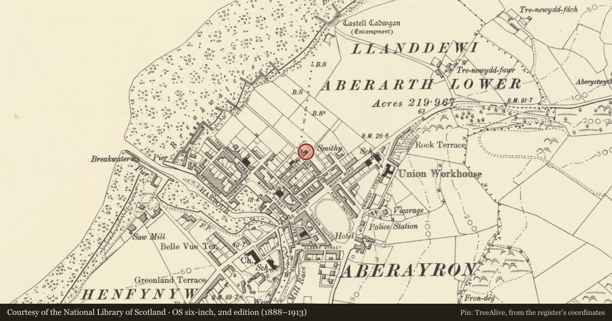 Ordnance Survey six-inch map, 2nd edition (1888–1913) covering the location of Dolwen, Aberaeron, Ceredigion, with a pin at the register's coordinates