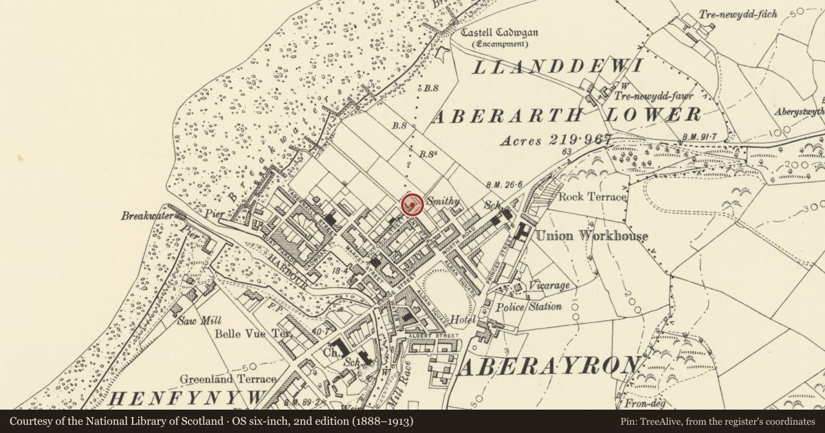 Ordnance Survey six-inch map, 2nd edition (1888–1913) covering the location of Anwylfan, Aberaeron, Ceredigion, with a pin at the register's coordinates