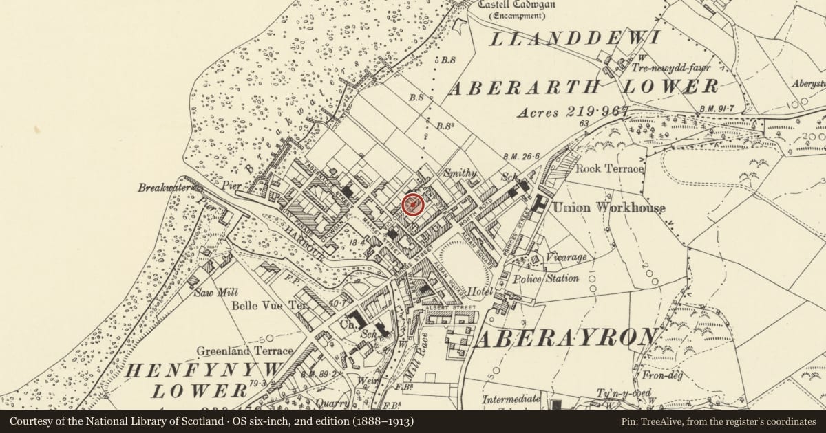 Ordnance Survey six-inch map, 2nd edition (1888–1913) covering the location of 15 Victoria Street, Aberaeron, Ceredigion, with a pin at the register's coordinates