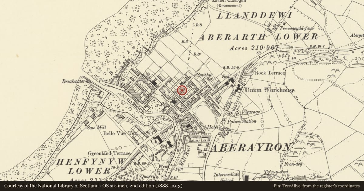 Ordnance Survey six-inch map, 2nd edition (1888–1913) covering the location of 16 Victoria Street, Aberaeron, Ceredigion, with a pin at the register's coordinates