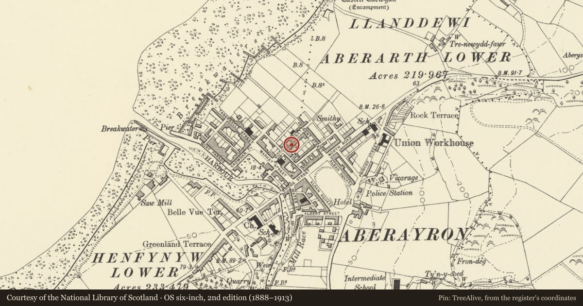 Ordnance Survey six-inch map, 2nd edition (1888–1913) covering the location of 17 Victoria Street, Aberaeron, Ceredigion, with a pin at the register's coordinates